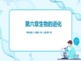 6.4《协同进化形成与生物多样性的》课件PPT+教案