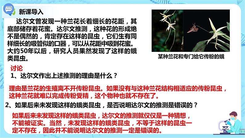 6.4《协同进化形成与生物多样性的》课件PPT+教案02