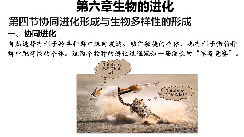 6.4《协同进化形成与生物多样性的》课件PPT+教案04