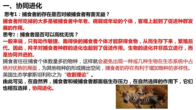 6.4《协同进化形成与生物多样性的》课件PPT+教案05