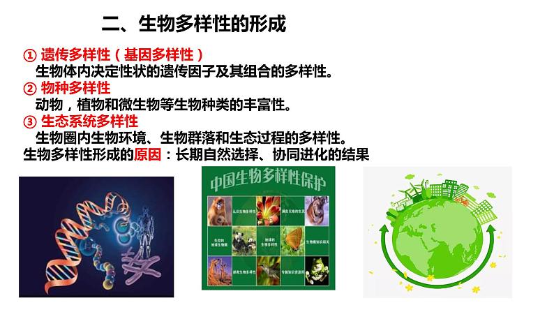 6.4《协同进化形成与生物多样性的》课件PPT+教案07