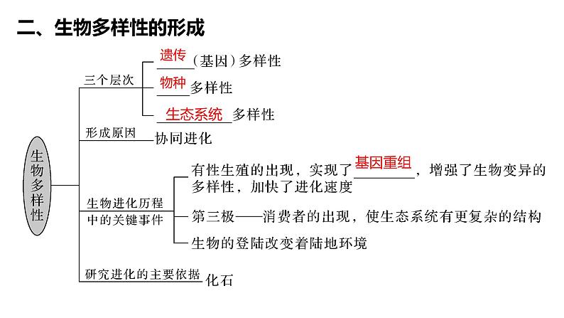 6.4《协同进化形成与生物多样性的》课件PPT+教案08