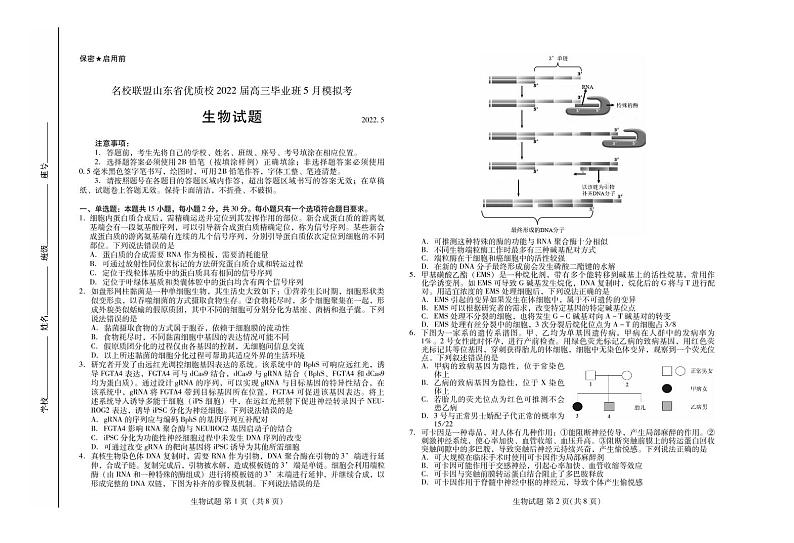 生物试题第1页