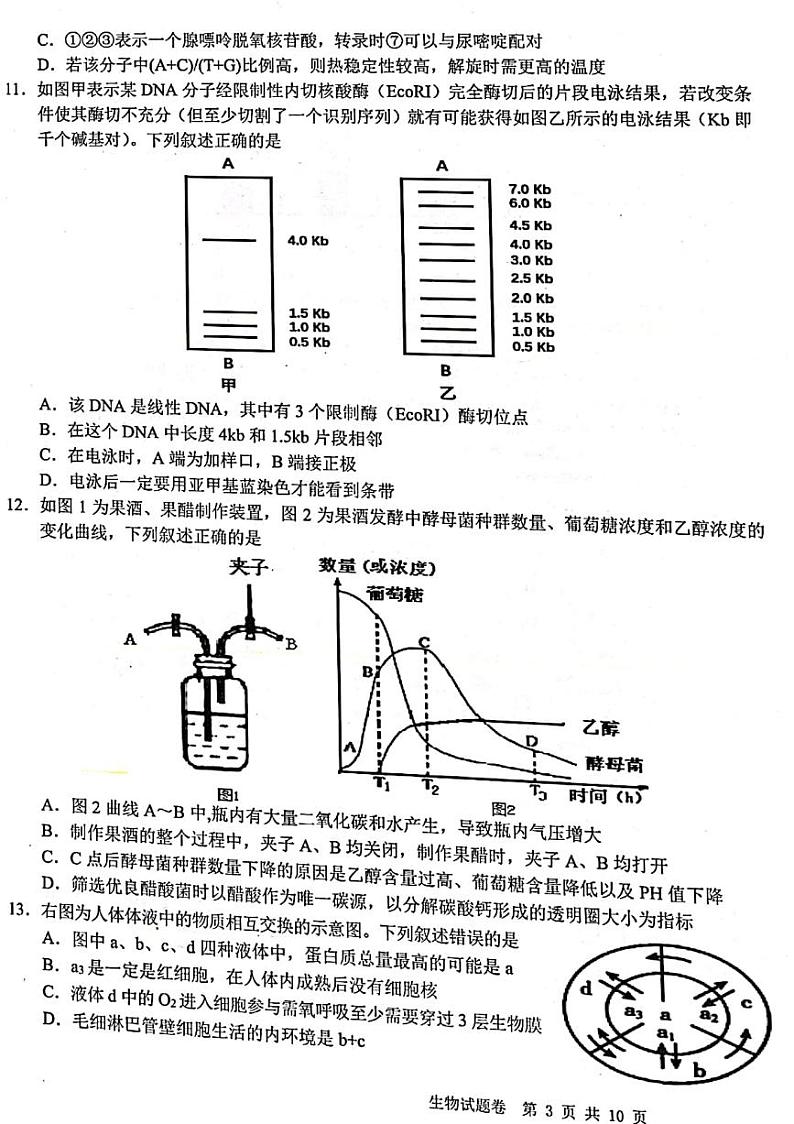 2021-2022学年浙江省十校高二下学期5月阶段性测试联考生物试题PDF版含答案03