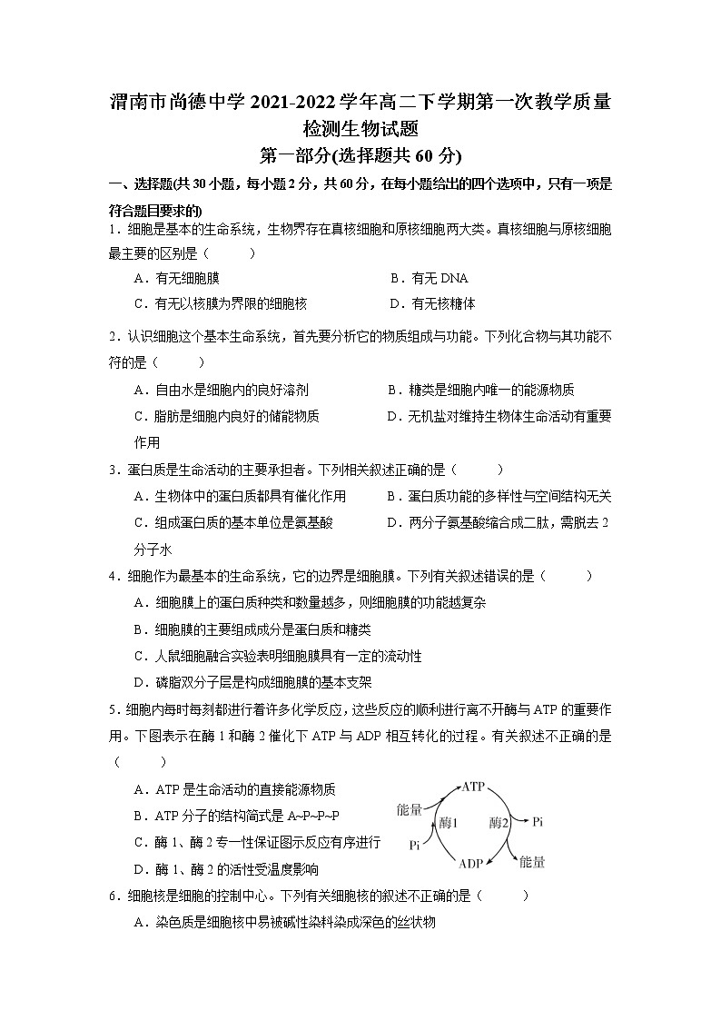 2021-2022学年陕西省渭南市尚德中学高二下学期第一次教学质量检测生物试题含答案第1页