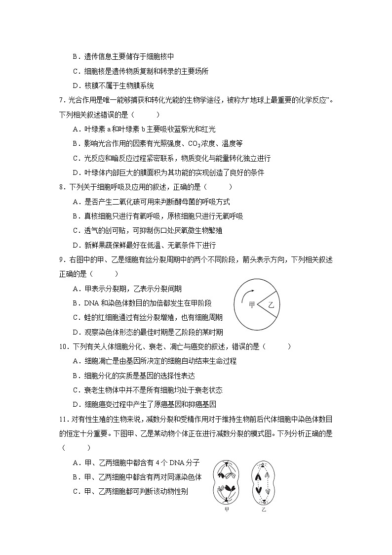 2021-2022学年陕西省渭南市尚德中学高二下学期第一次教学质量检测生物试题含答案第2页