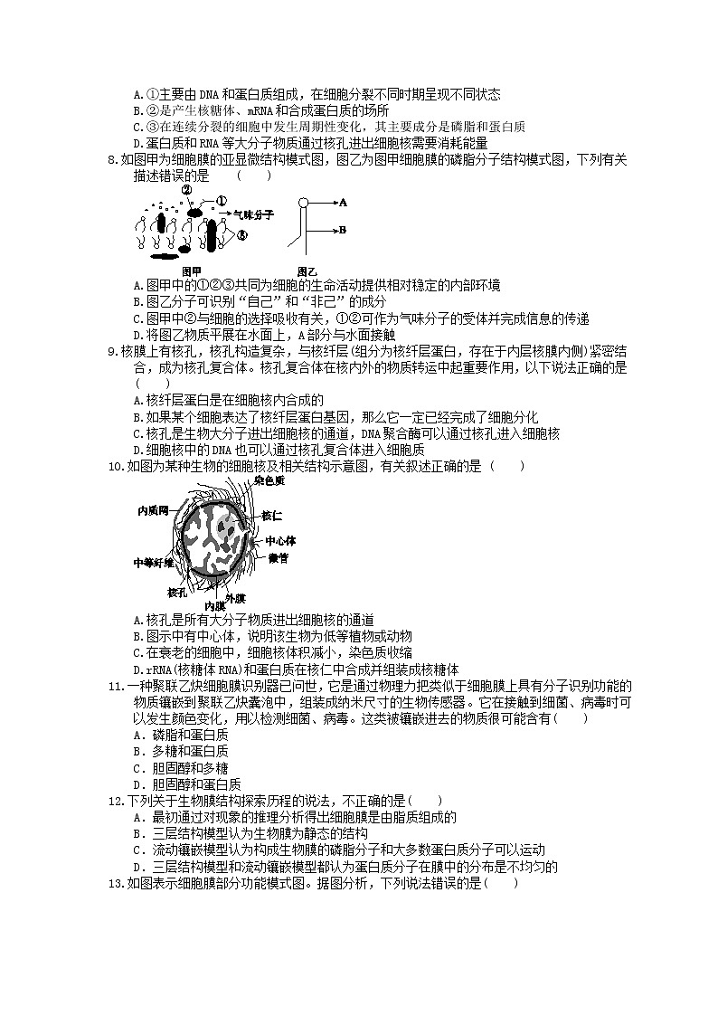 2023年高考生物一轮复习课时练05《细胞膜与细胞核》(含答案)第2页