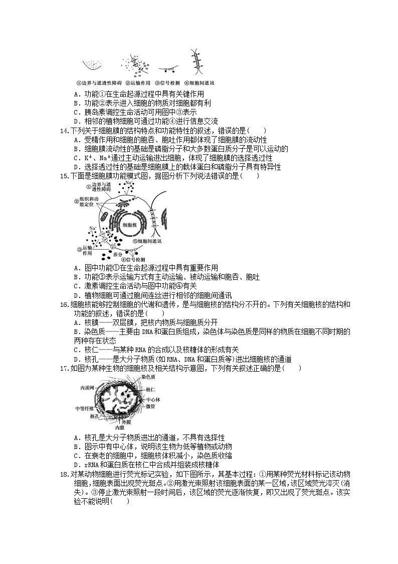 2023年高考生物一轮复习课时练05《细胞膜与细胞核》(含答案)第3页