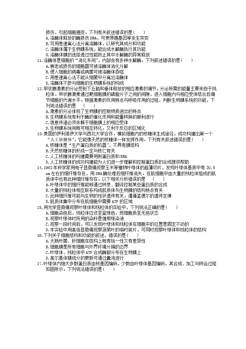 2023年高考生物一轮复习课时练06《细胞器与生物膜系统》(含答案)第2页