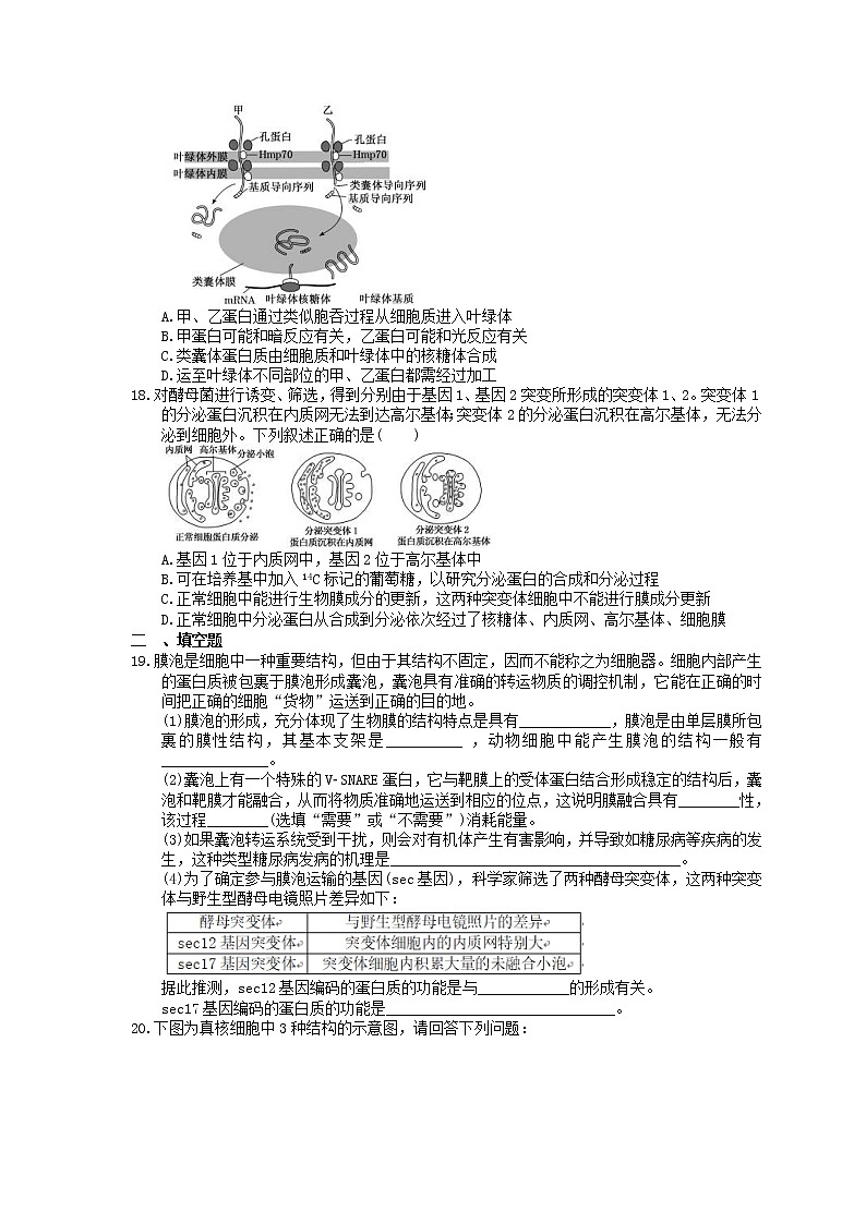 2023年高考生物一轮复习课时练06《细胞器与生物膜系统》(含答案)第3页