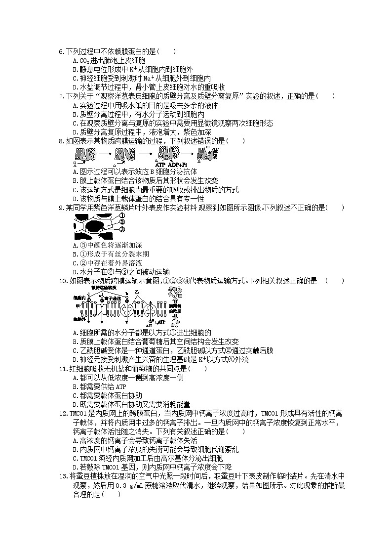 2023年高考生物一轮复习课时练07《细胞的物质输入和输出》(含答案)02