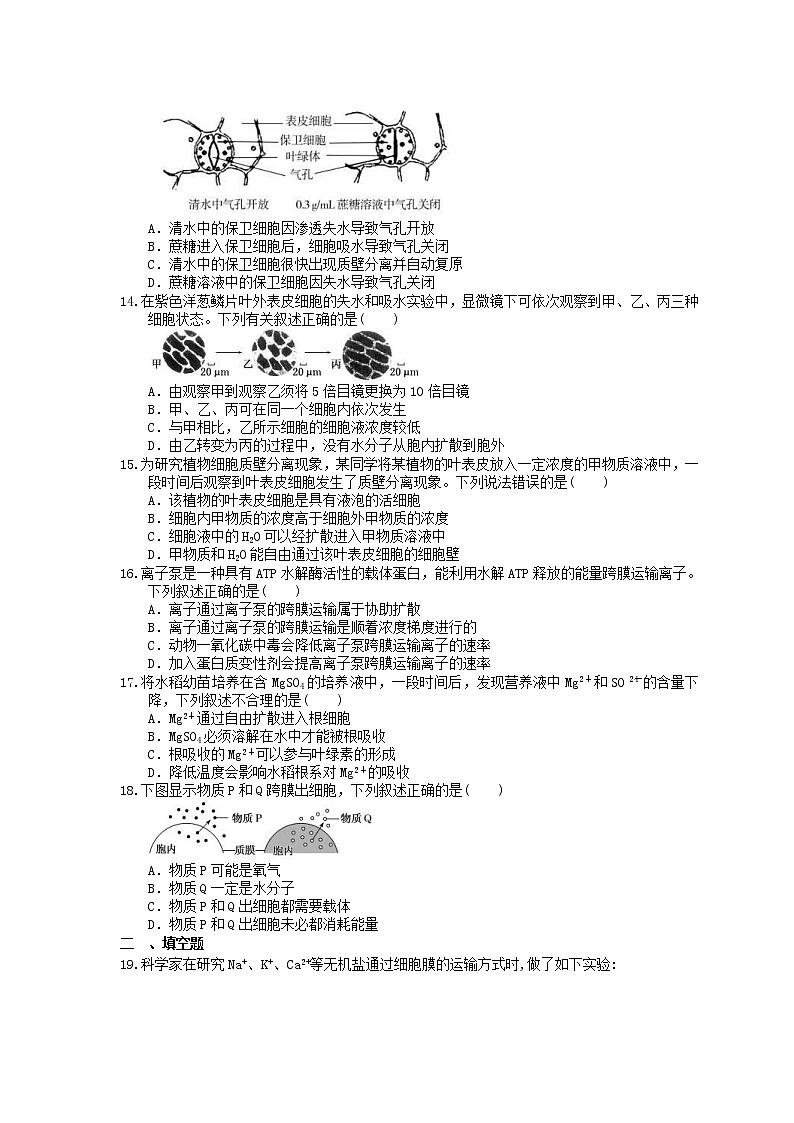 2023年高考生物一轮复习课时练07《细胞的物质输入和输出》(含答案)03