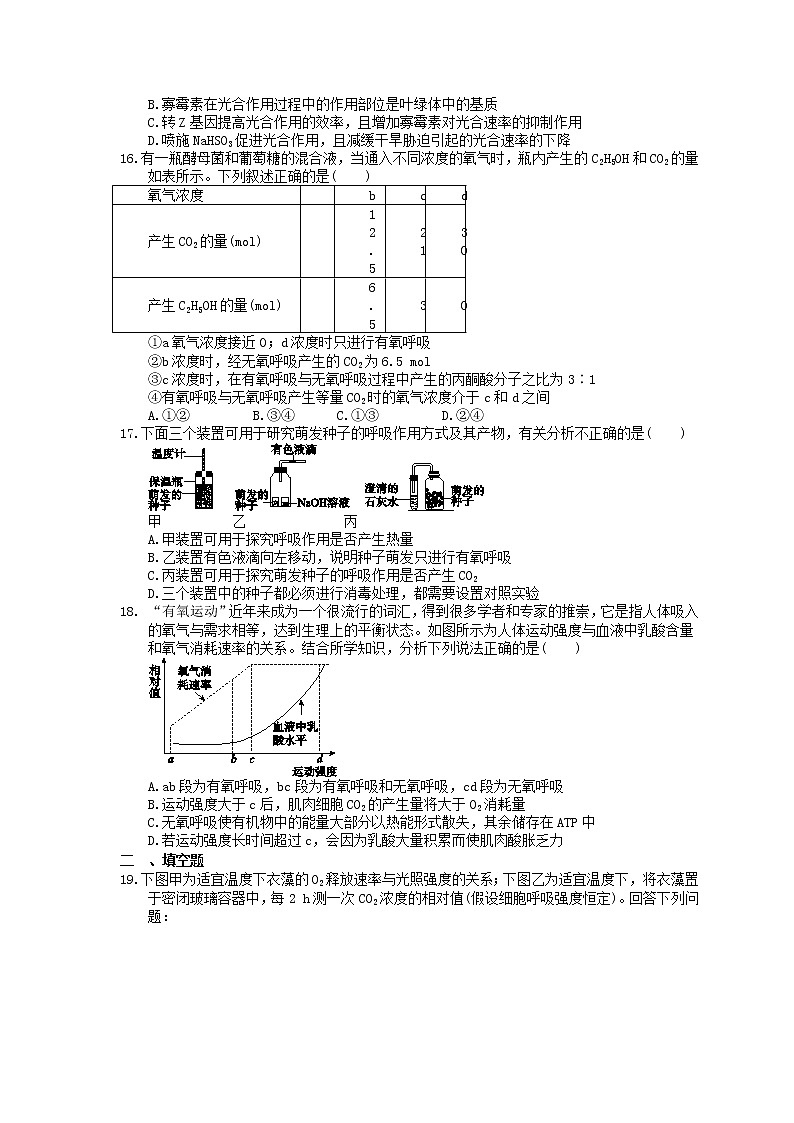 2023年高考生物一轮复习课时练09《细胞呼吸》(含答案)第3页