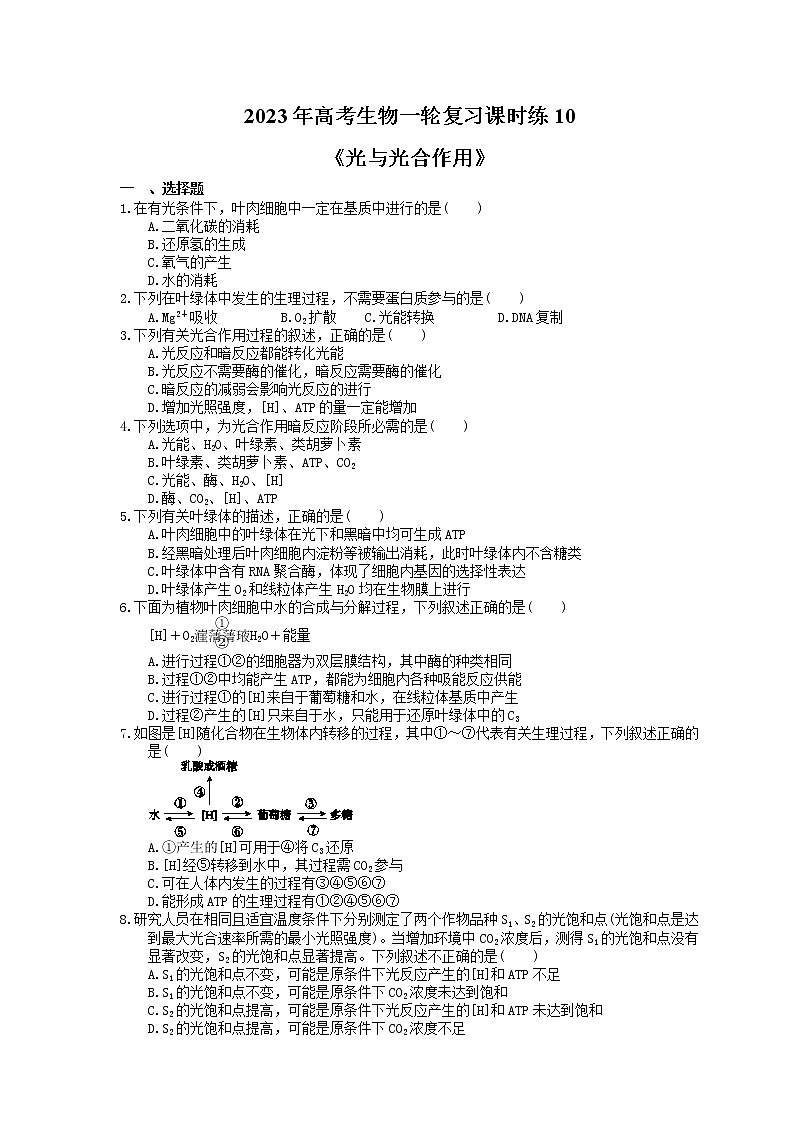 2023年高考生物一轮复习课时练10《光与光合作用》(含答案)01