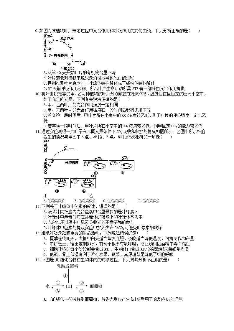2023年高考生物一轮复习课时练10《光与光合作用》(含答案)02