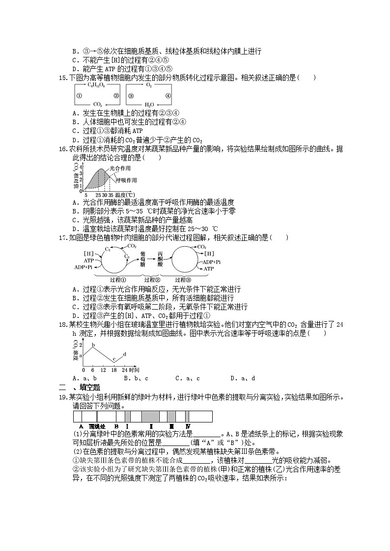 2023年高考生物一轮复习课时练10《光与光合作用》(含答案)03