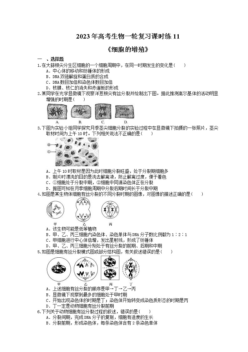 2023年高考生物一轮复习课时练11《细胞的增殖》(含答案)01