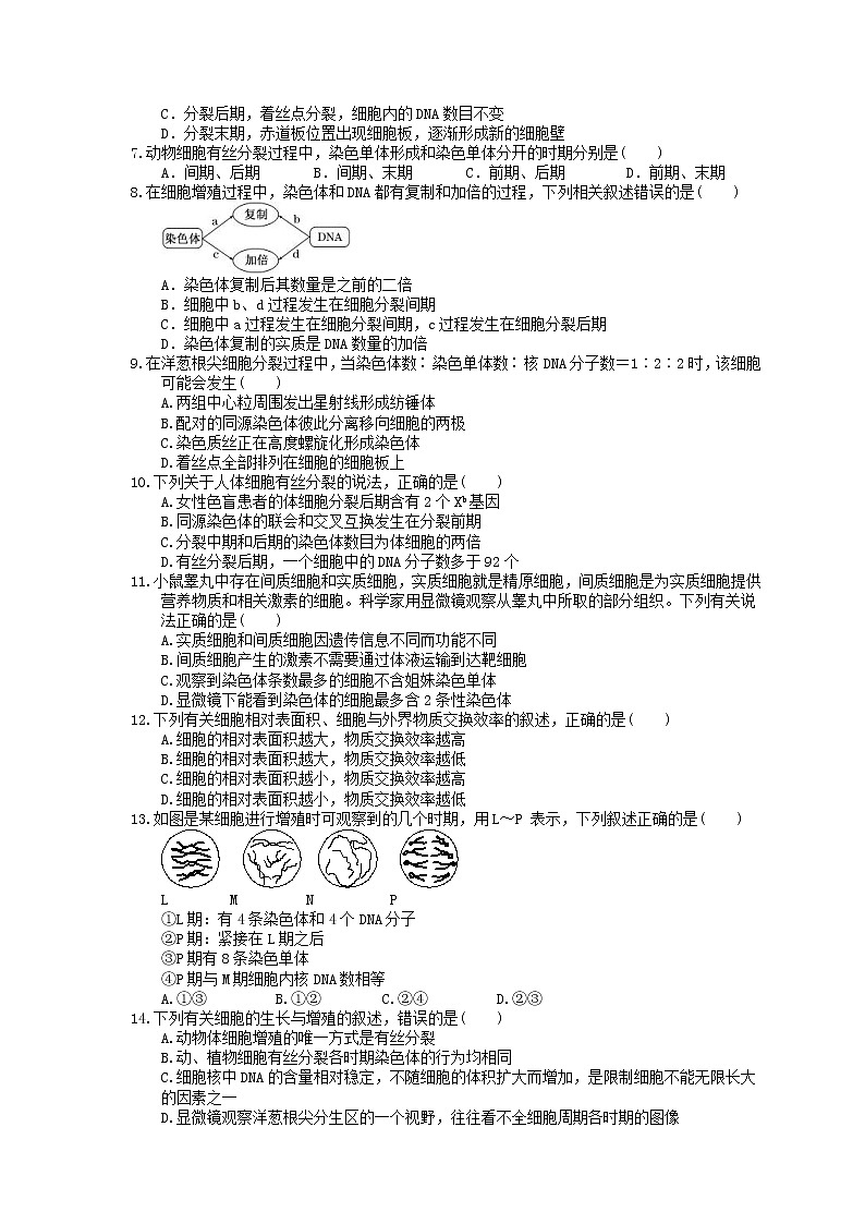 2023年高考生物一轮复习课时练11《细胞的增殖》(含答案)02