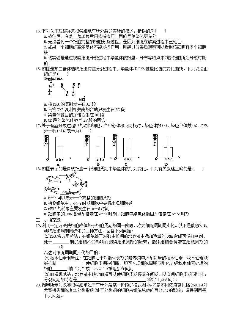 2023年高考生物一轮复习课时练11《细胞的增殖》(含答案)03