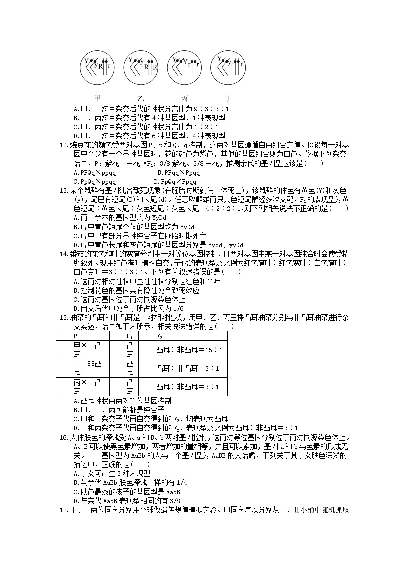 2023年高考生物一轮复习课时练15《基因的自由组合定律》(含答案)第3页