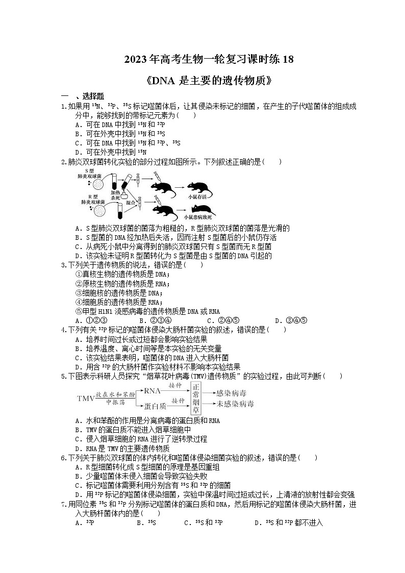 2023年高考生物一轮复习课时练18《DNA是主要的遗传物质》(含答案)01