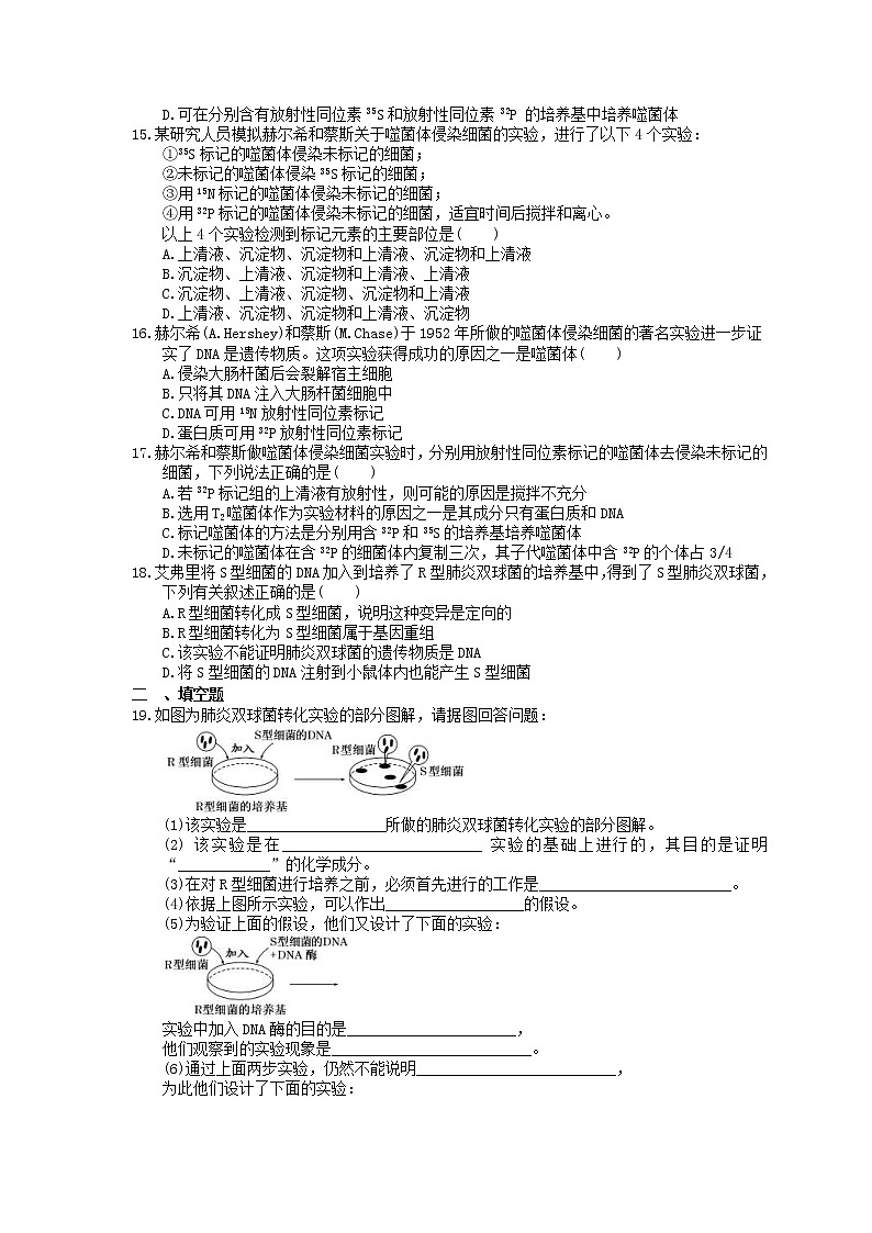 2023年高考生物一轮复习课时练18《DNA是主要的遗传物质》(含答案)03