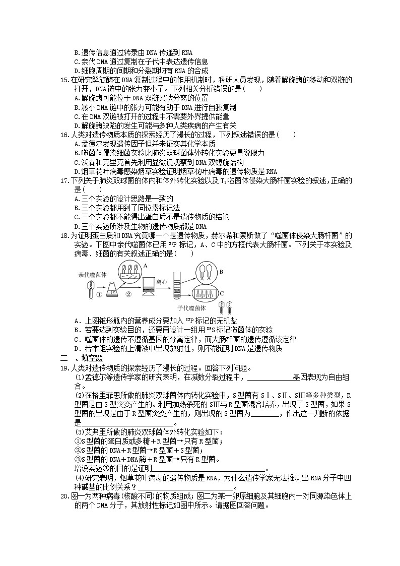 2023年高考生物一轮复习课时练19《DNA的分子结构、复制及基因的本质》(含答案)第3页