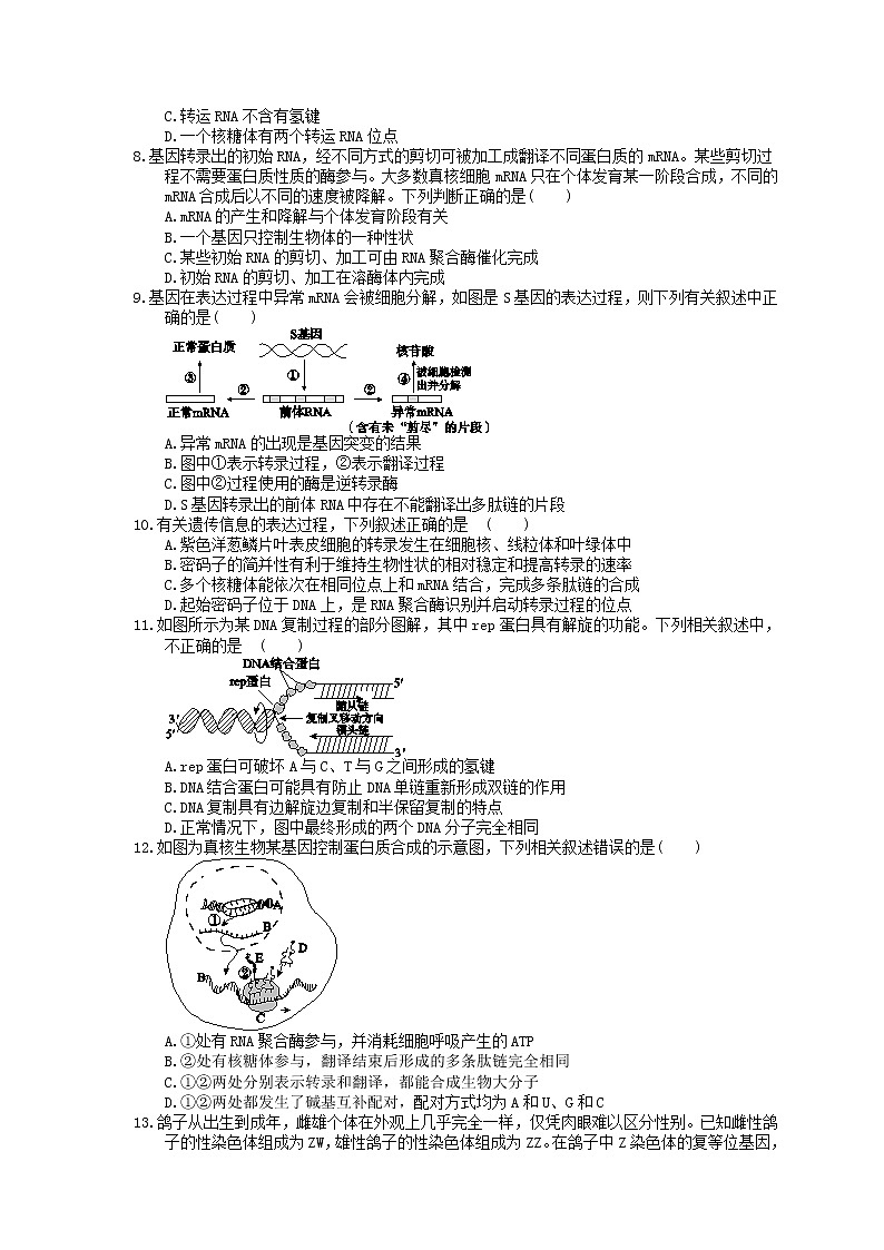 2023年高考生物一轮复习课时练20《基因的表达》(含答案)第2页