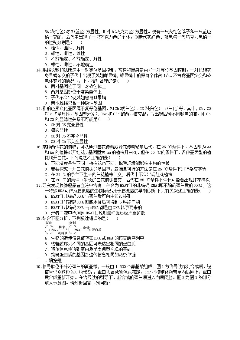 2023年高考生物一轮复习课时练20《基因的表达》(含答案)第3页