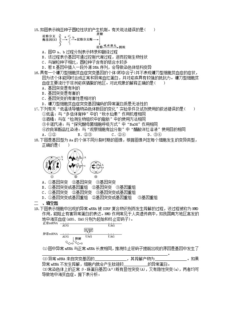 2023年高考生物一轮复习课时练21《基因突变和基因重组》(含答案)03
