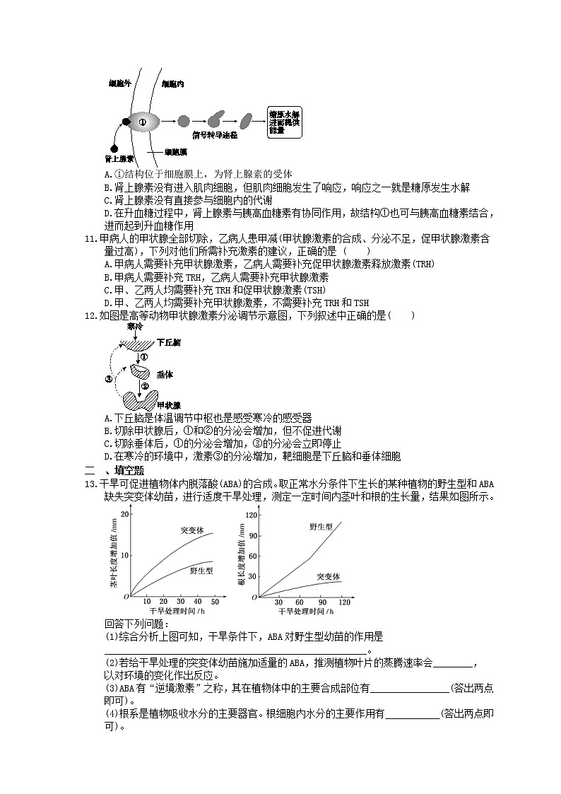 2023年高考生物一轮复习课时练26《通过激素的调节神经调节与激素调节的关系》(含答案)03