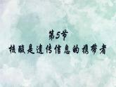 人教版2019生物必修一2.5核酸是遗传信息的携带者 课件