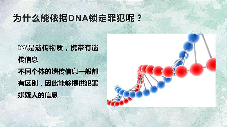 人教版2019生物必修一2.5核酸是遗传信息的携带者 课件03