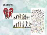 人教版2019生物必修一2.5核酸是遗传信息的携带者 课件