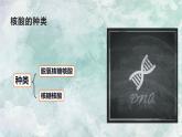人教版2019生物必修一2.5核酸是遗传信息的携带者 课件