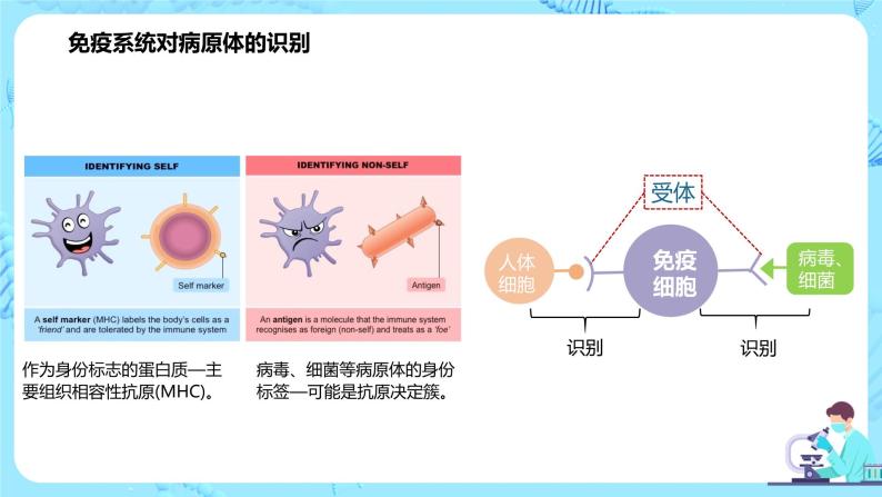 第二节《特异性免疫》课件+教案05