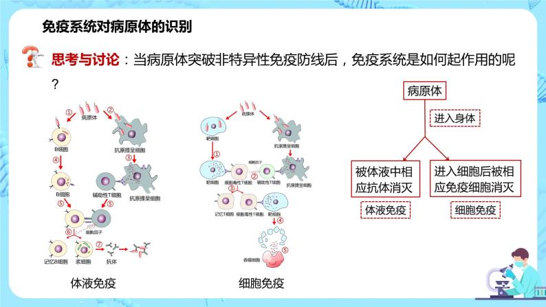 第二节《特异性免疫》课件+教案06
