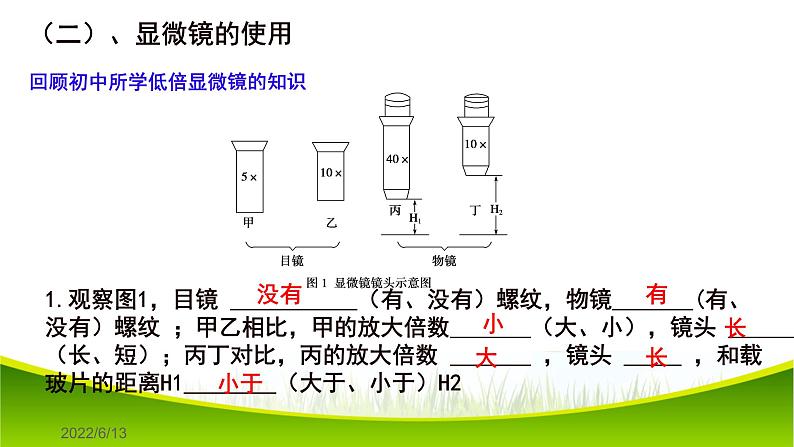 1.2 细胞的多样性和统一性 课件-2021-2022学年人教版（2019）高一生物必修一第7页