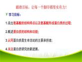 2.4 蛋白质是生命活动的主要承担者 课件-2021-2022学年人教版（2019）高一生物必修一