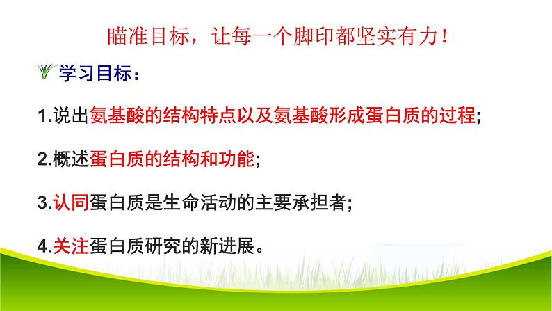 2.4 蛋白质是生命活动的主要承担者 课件-2021-2022学年人教版（2019）高一生物必修一02