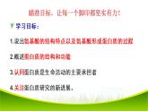 2.4 蛋白质是生命活动的主要承担者 第二课时 课件-2021-2022学年人教版（2019）高一生物必修一