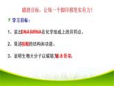 2.5 核酸是遗传信息的携带者 课件-2021-2022学年人教版（2019）高一生物必修一