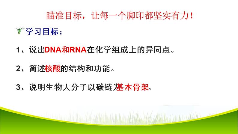 2.5 核酸是遗传信息的携带者 课件-2021-2022学年人教版（2019）高一生物必修一03