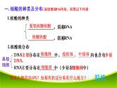 2.5 核酸是遗传信息的携带者 课件-2021-2022学年人教版（2019）高一生物必修一