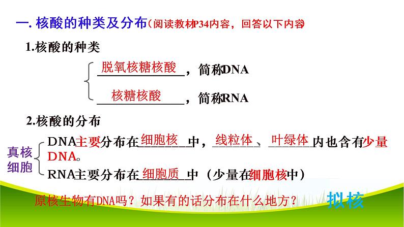 2.5 核酸是遗传信息的携带者 课件-2021-2022学年人教版（2019）高一生物必修一04