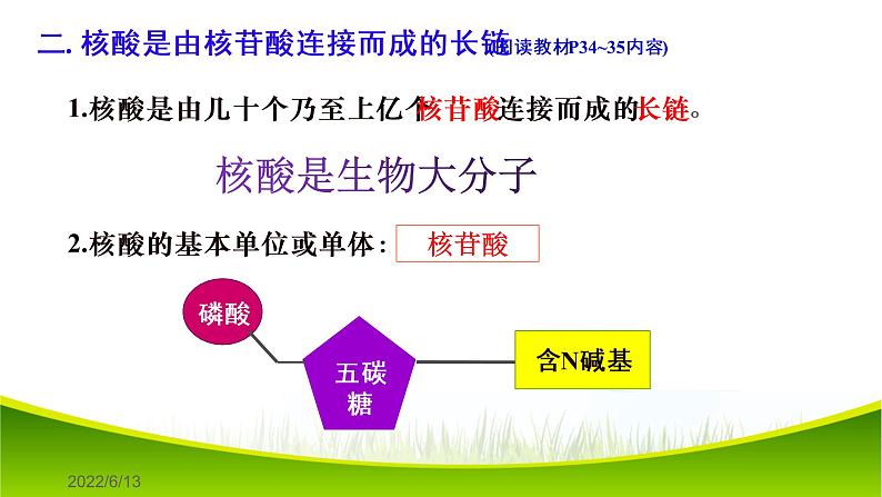 2.5 核酸是遗传信息的携带者 课件-2021-2022学年人教版（2019）高一生物必修一05