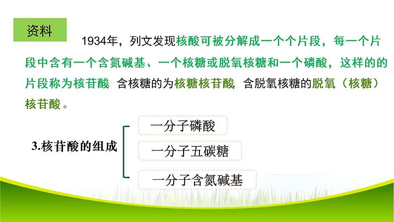 2.5 核酸是遗传信息的携带者 课件-2021-2022学年人教版（2019）高一生物必修一06