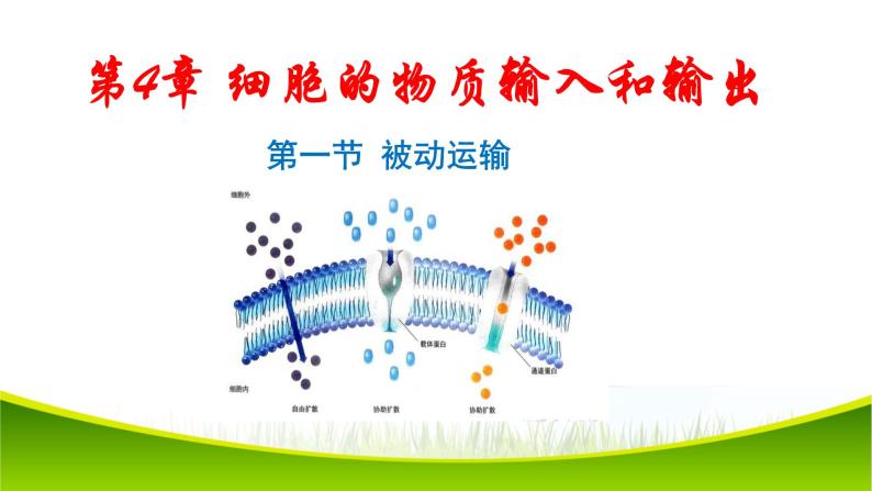 4.1 被动运输 课件-2021-2022学年人教版（2019）高一上学期生物必修一01