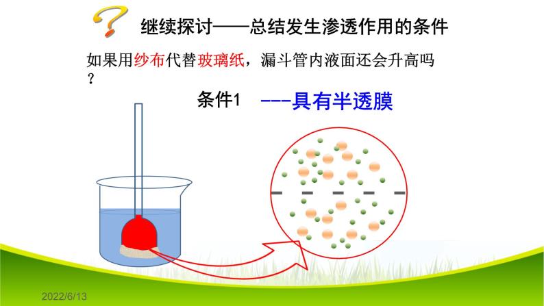 4.1 被动运输 课件-2021-2022学年人教版（2019）高一上学期生物必修一04