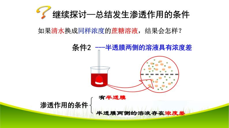 4.1 被动运输 课件-2021-2022学年人教版（2019）高一上学期生物必修一05